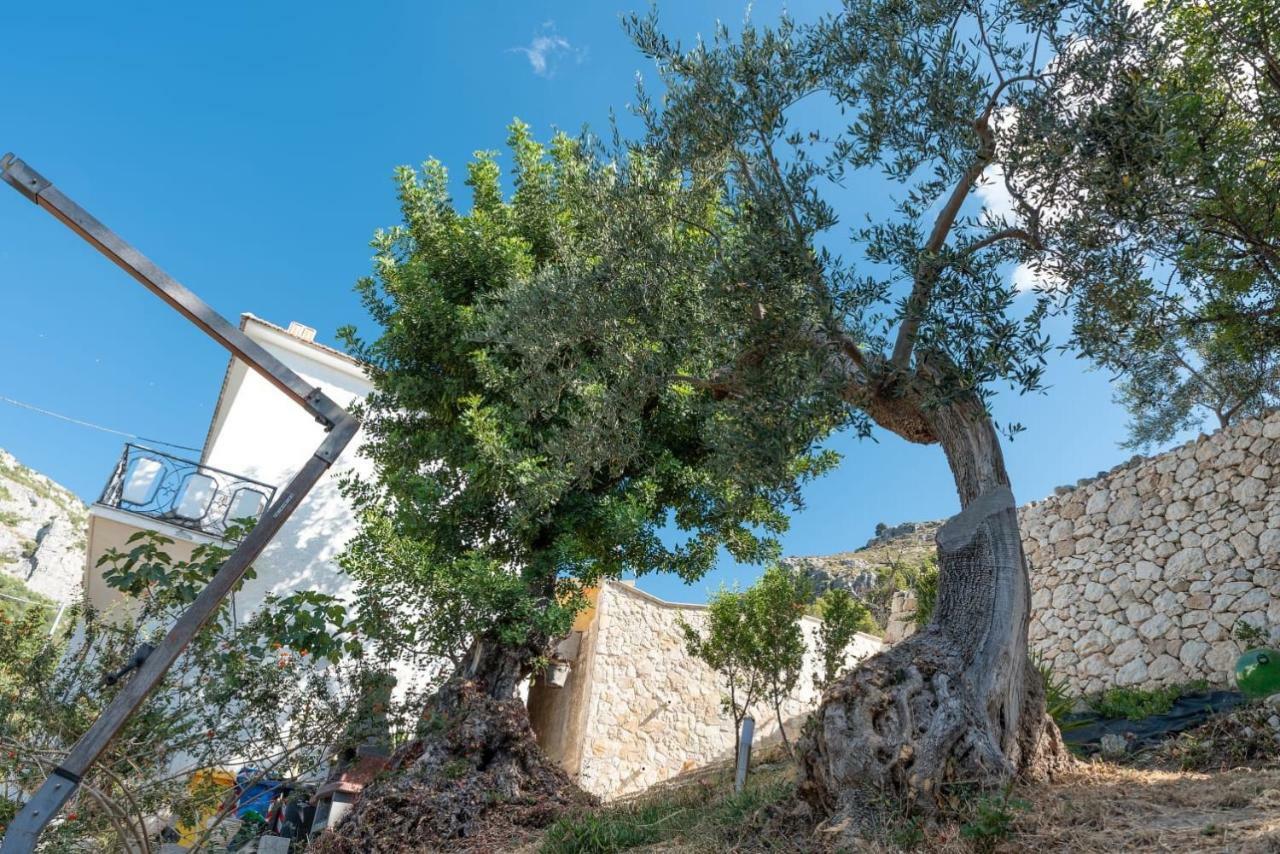 Dimora Mariuccia Hotel Monte Sant'Angelo Exterior photo